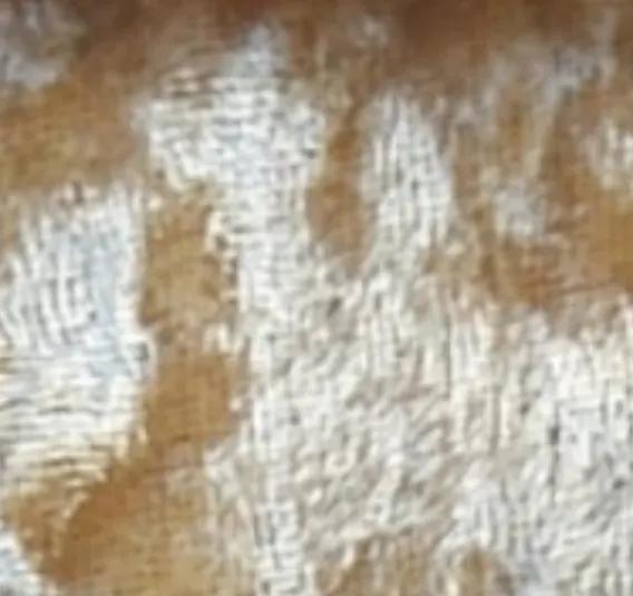 Free Fabric Samples Bed Bliss