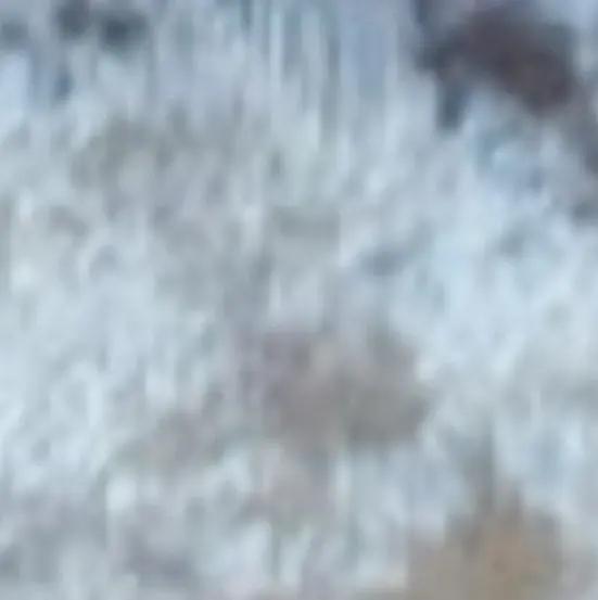 Free Fabric Samples Bed Bliss