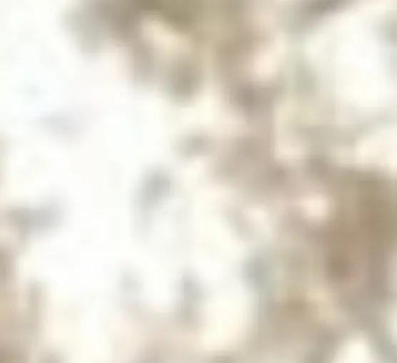 Free Fabric Samples Bed Bliss