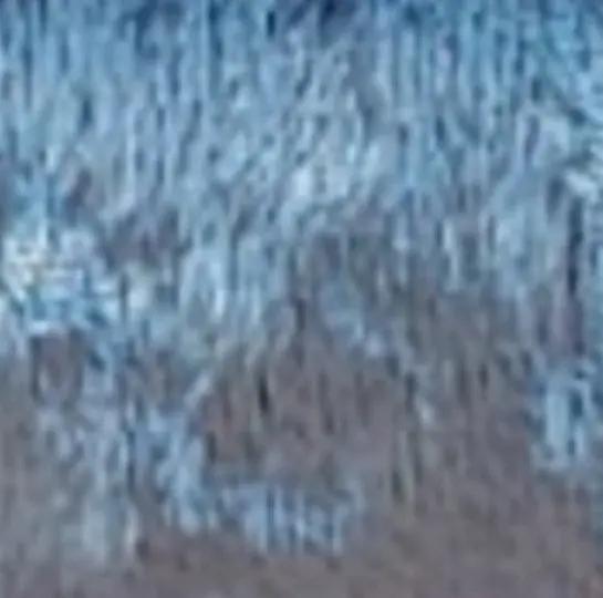 Free Fabric Samples Bed Bliss