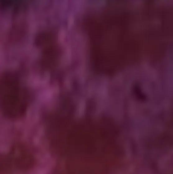 Free Fabric Samples Bed Bliss